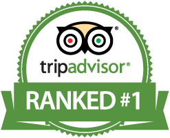 TripAdvisor2 2016